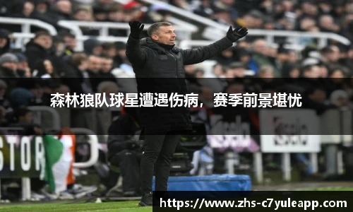 森林狼队球星遭遇伤病,赛季前景堪忧